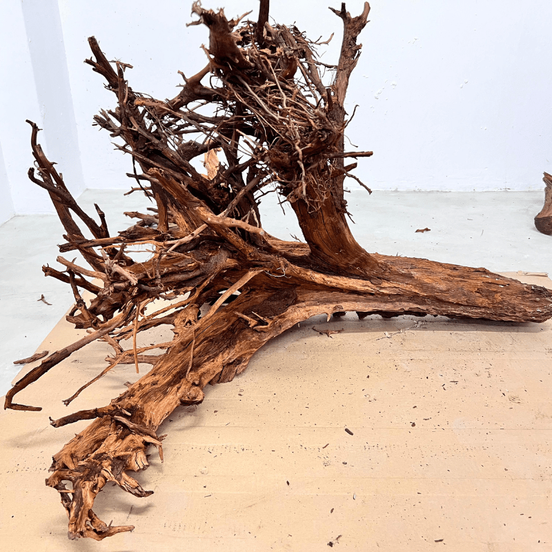 ANS Malayan Aquascape Driftwood XXXL (90-120cm)