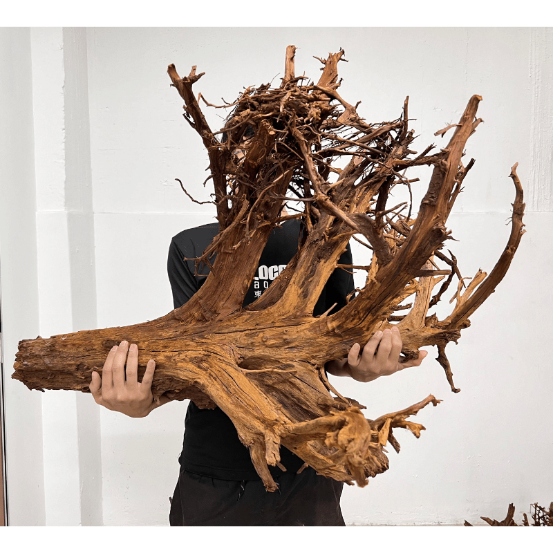 ANS Malayan Aquascape Driftwood XXXL (90-120cm)