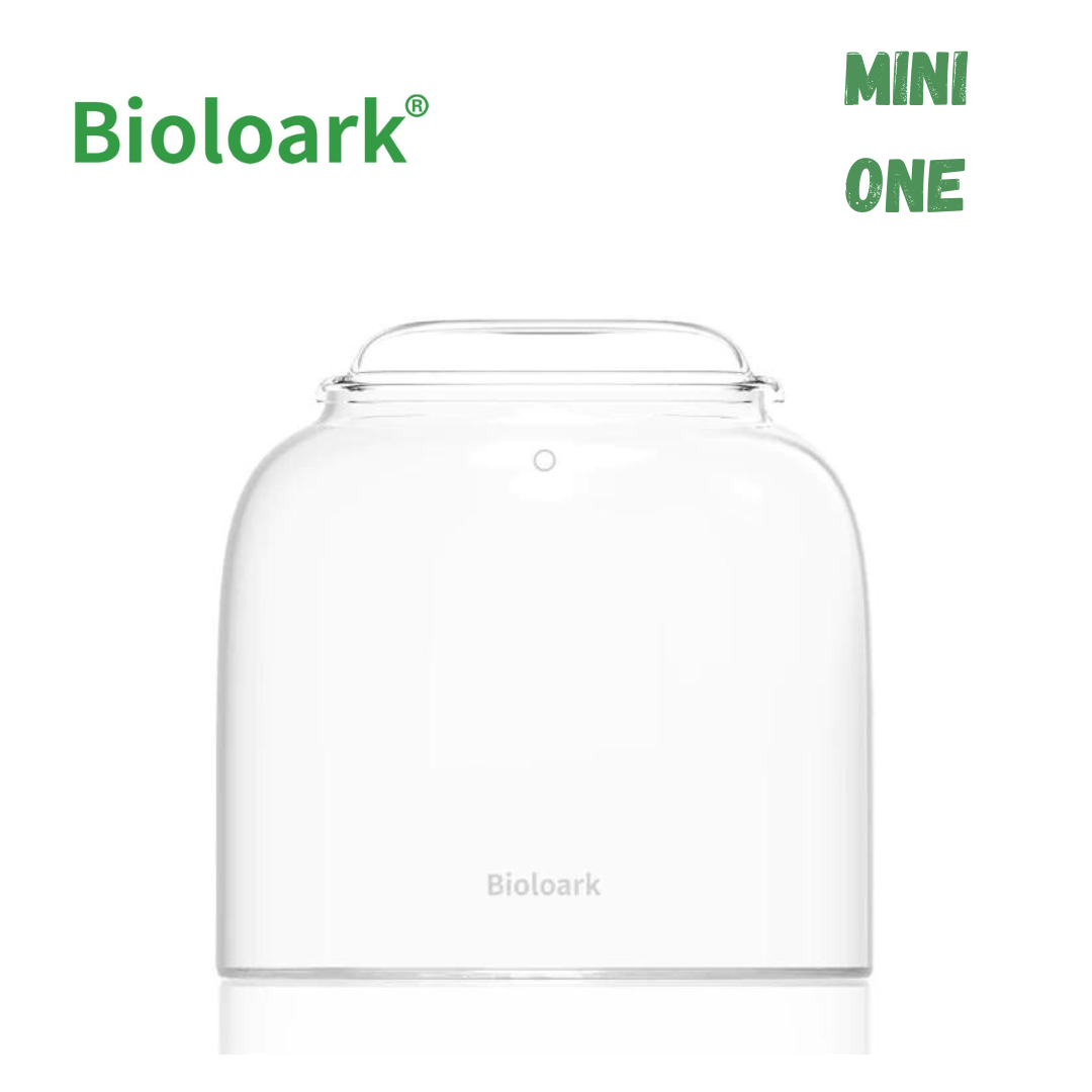 BIOLOARK Mini Bubble Cup Series (One/ Three Cup) - (Landscape Creation