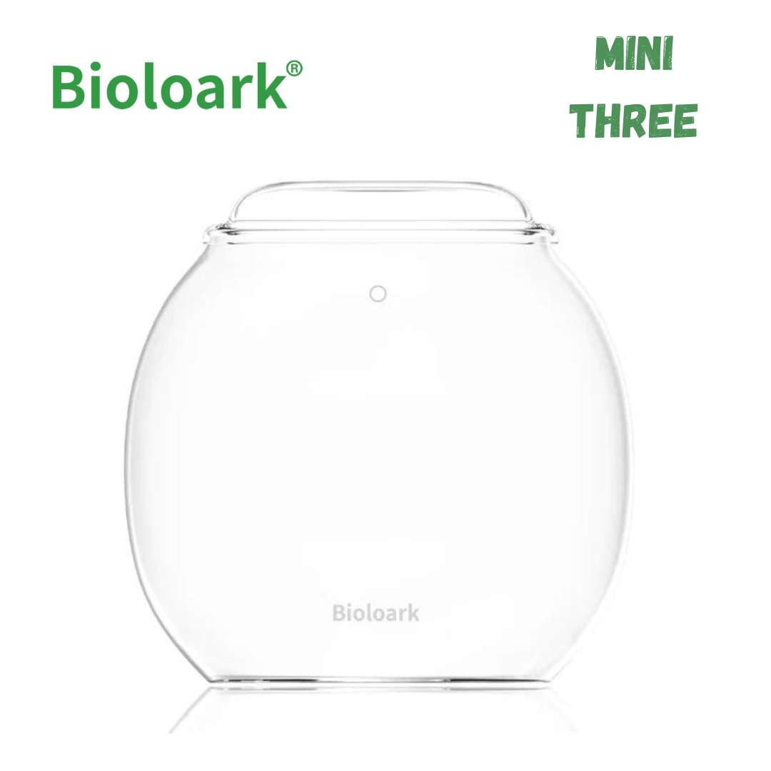 BIOLOARK Mini Bubble Cup Series (One/ Three Cup) - (Landscape Creation