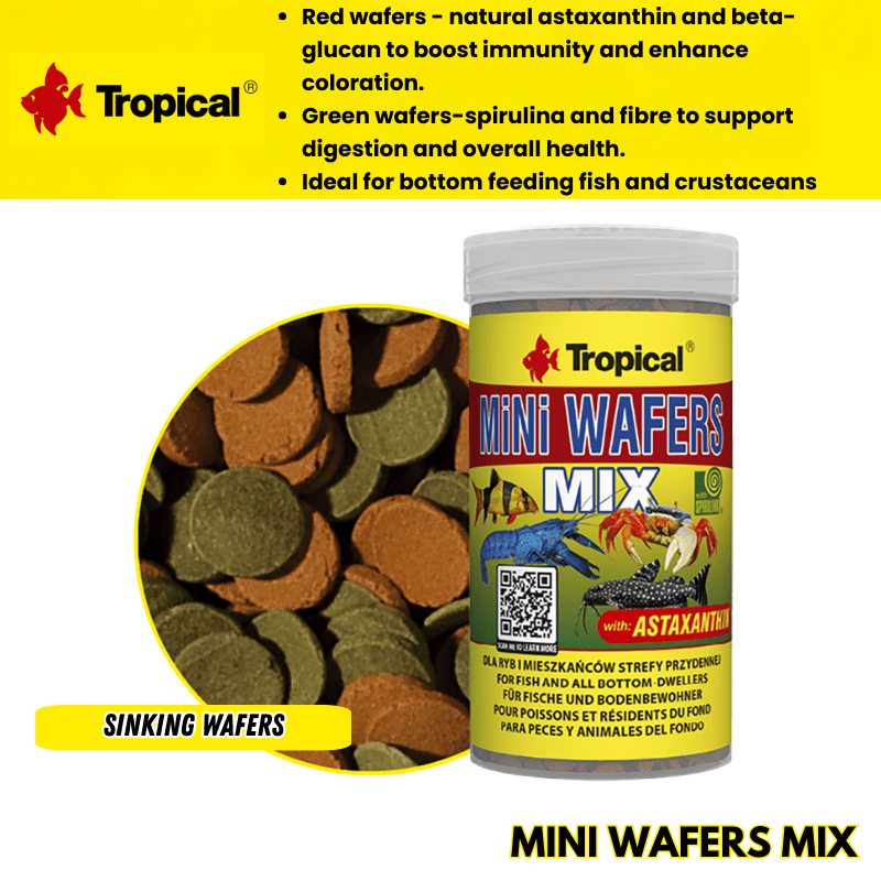 Tropical Mini Wafers Mix (boost with spirulina and astaxanthin)