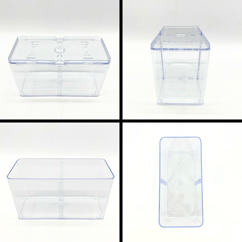 NF Betta Box With Cover 20x9.5x10cm