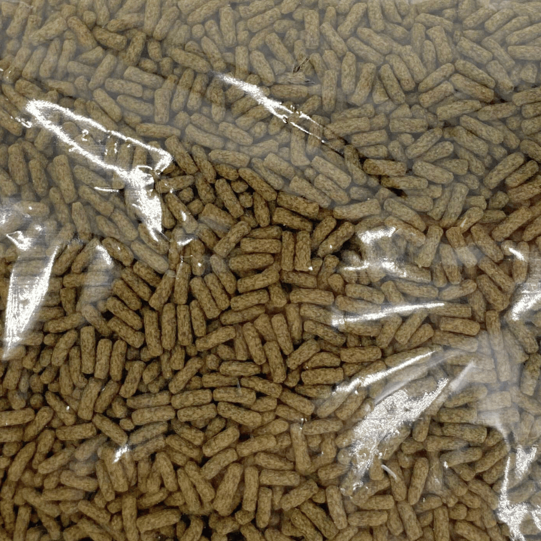 NF Turtle feed 300g
