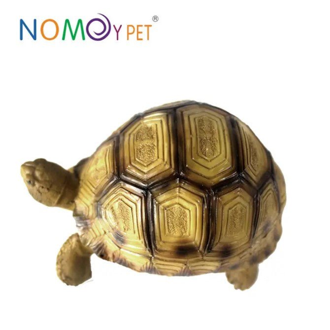 NOMOYPET A5 Turtle Decoration