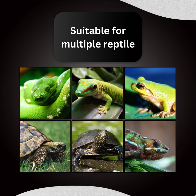 NOMOYPET NJ-10 Reptile Clamp Lamp (adjustable) - light bulb not includ