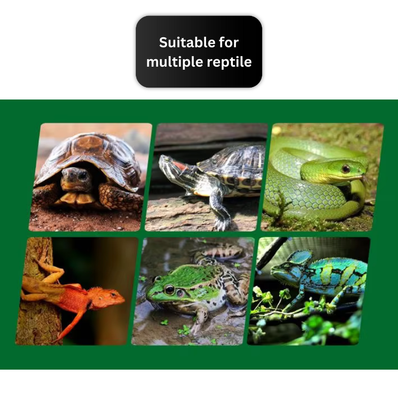 NOMOYPET YL-01 Terrarium tank 30x30x45 (double door)