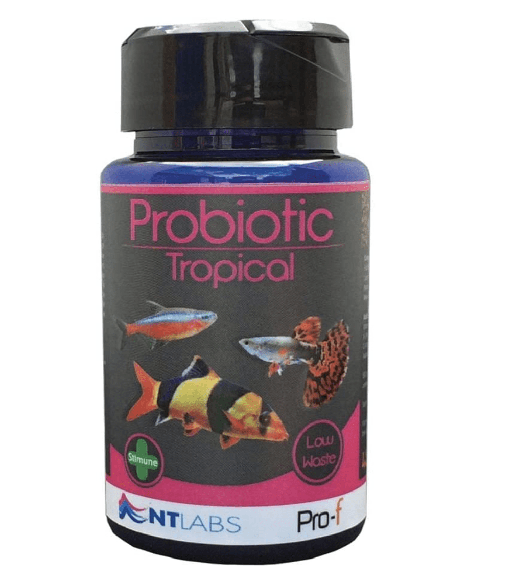 NTLABS Pro-f Probiotic Tropical