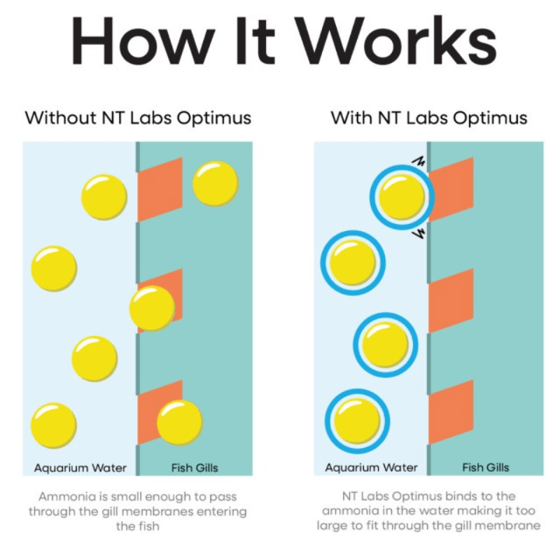 NT Labs Optimus 100 250 500Ml