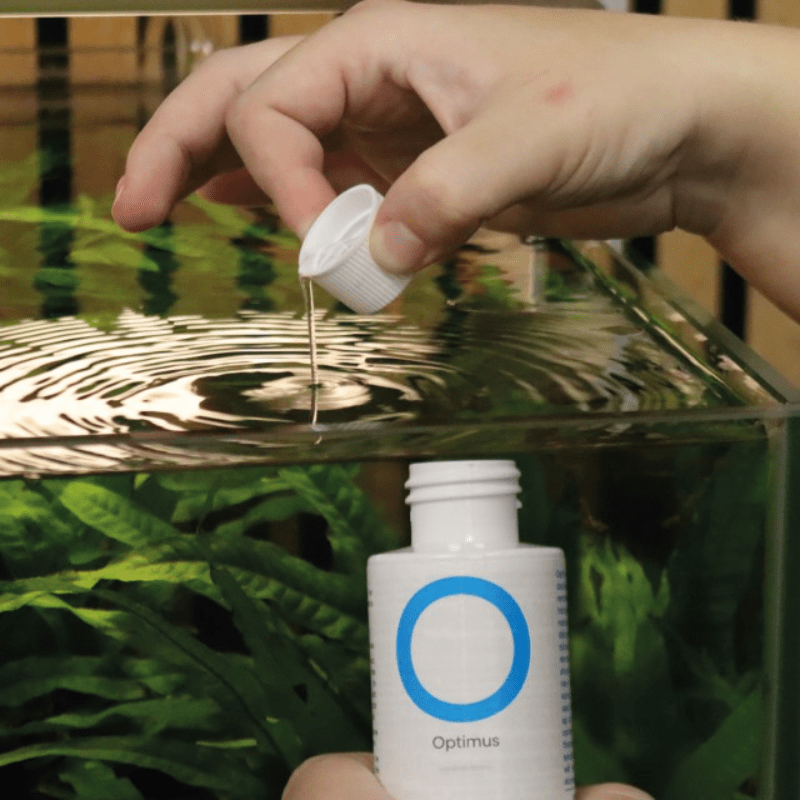 NT Labs Optimus 100 250 500Ml