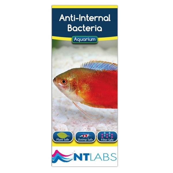 Aquarium - Anti-Internal Bacteria