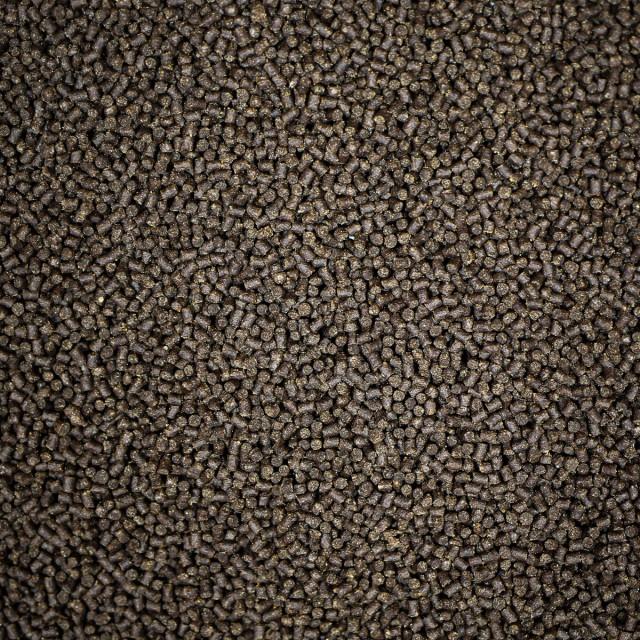 NTLABS Pro-f Fancy Goldfish - 130g