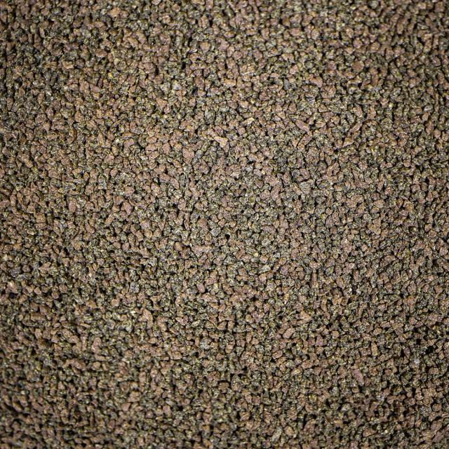 NTLABS Pro-f Probiotic Tropical