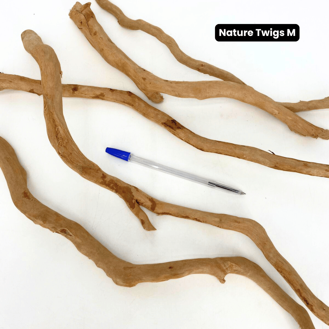 ANS Nature Twigs 100g/200g