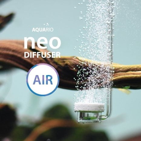 NEO Air Curved Special (M/L) - Made In Korea