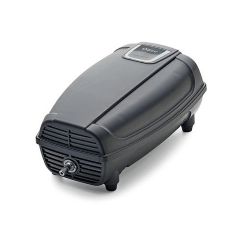 OASE AquaOxy 250 (pond air pump)