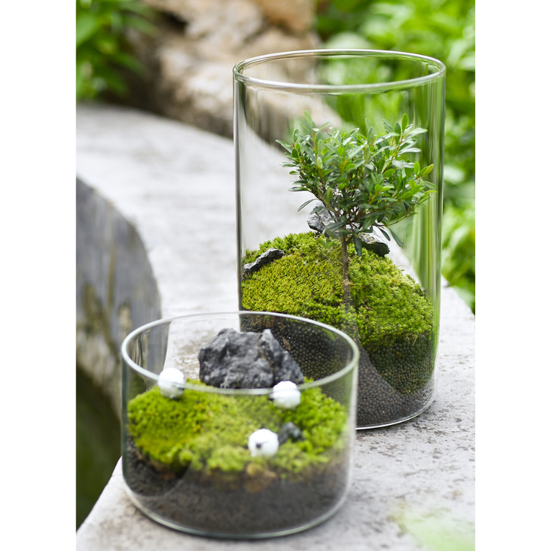 Owa Glass Cylinder Various Size