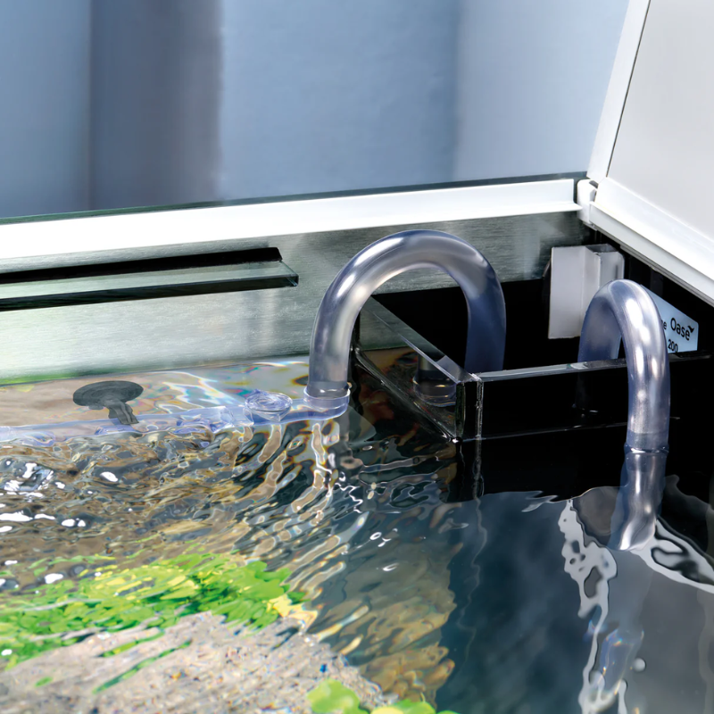 Oase Biomaster 2 (w/ Innovative PreFilter Function)- (250/350/600/850) - 3yr Warranty (New version!) faster flow !