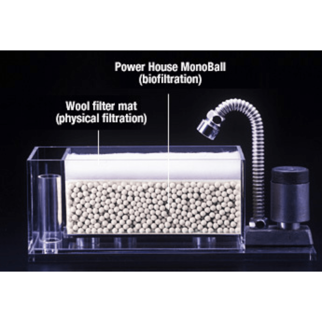 POWERHOUSE MonoBall (500ml/3L)