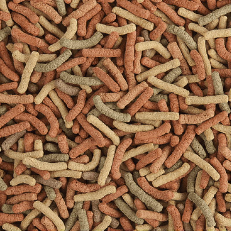 Tropical Pond Sticks Mixed (balance koi diet)