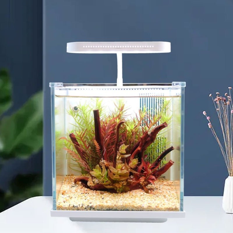 QANVEE BL-200PG Desktop Aquarium (IOS)
