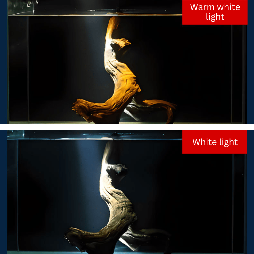 ROXIN Y1 Spotlight (White led) for biotope scape