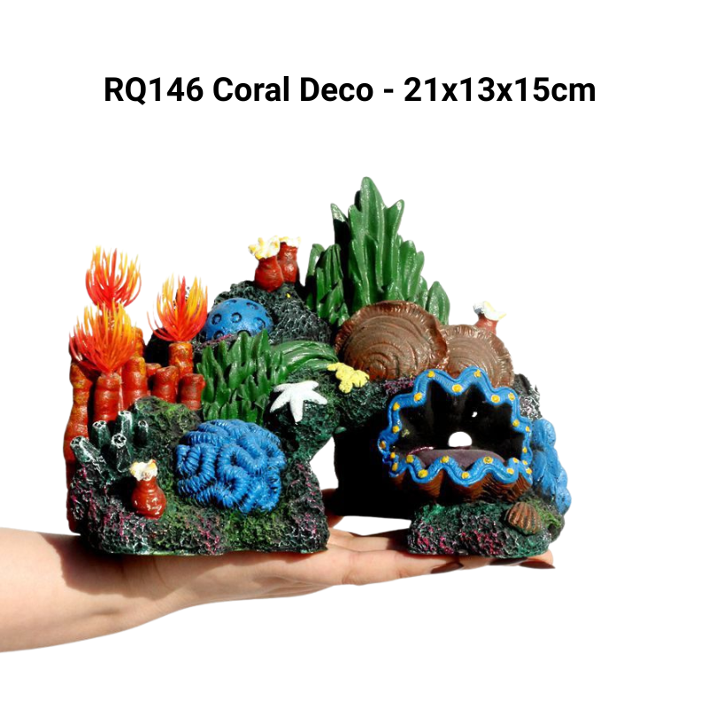 Rq146 Coral Deco