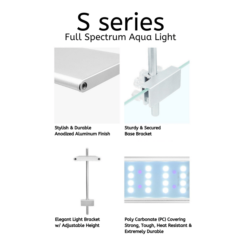 Week Aqua S - Series Pro light