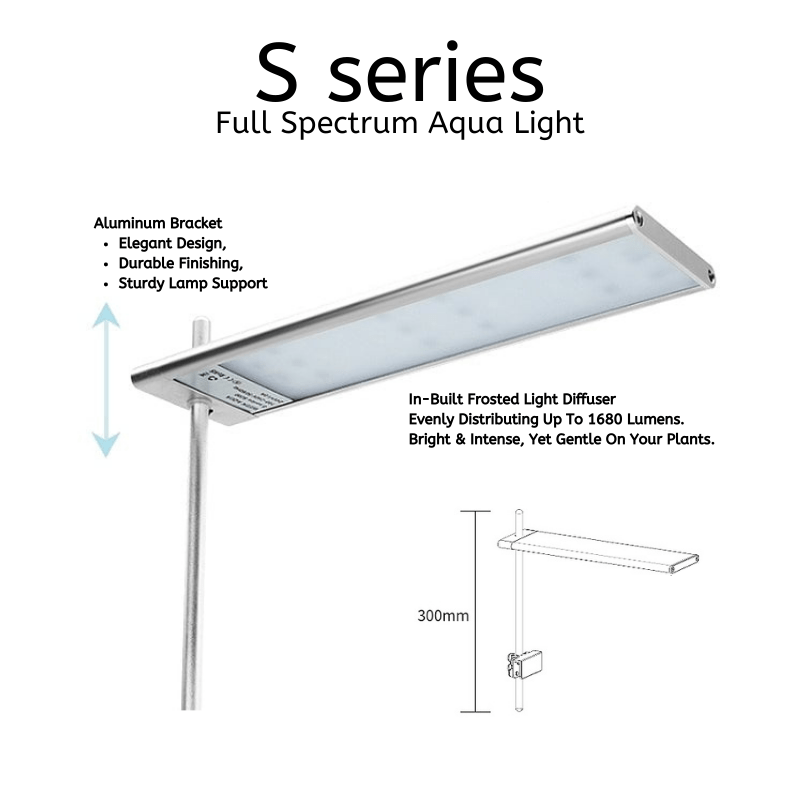 Week Aqua S - Series Pro light