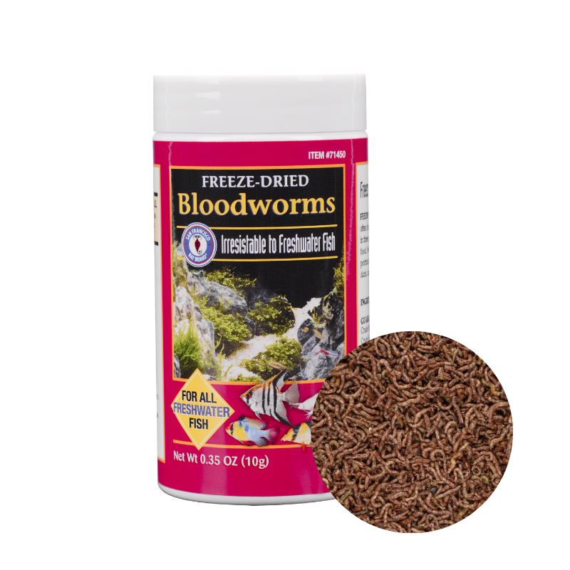 Sfbb Freeze Dried Bloodworm 0 35Oz