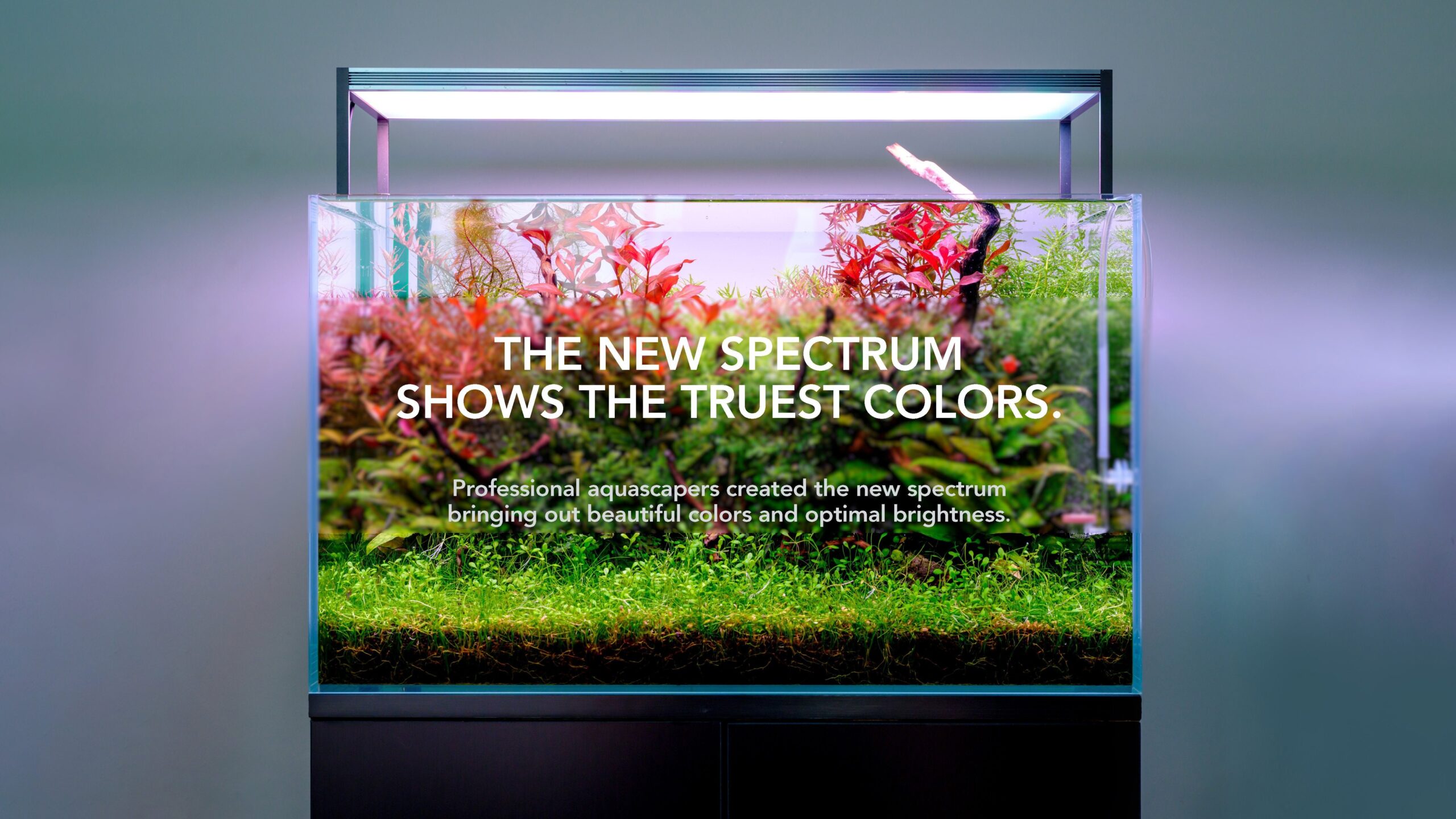 TWINSTAR III S Series LED Light (High-Range Tier)