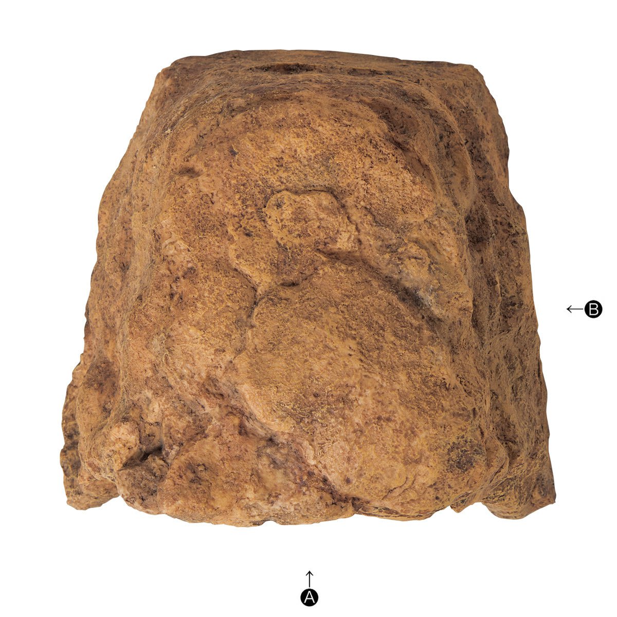 SUDO RX-195 Decoration cave L