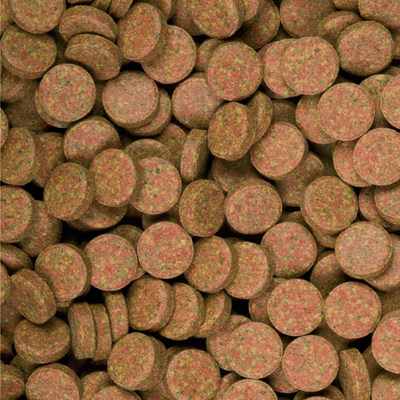 Tropical Supervit Tablets A (stick to tank)