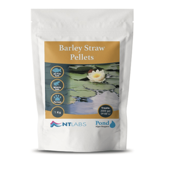 NT LABS Pond Algae Stopperz 1kg (long term algae control)
