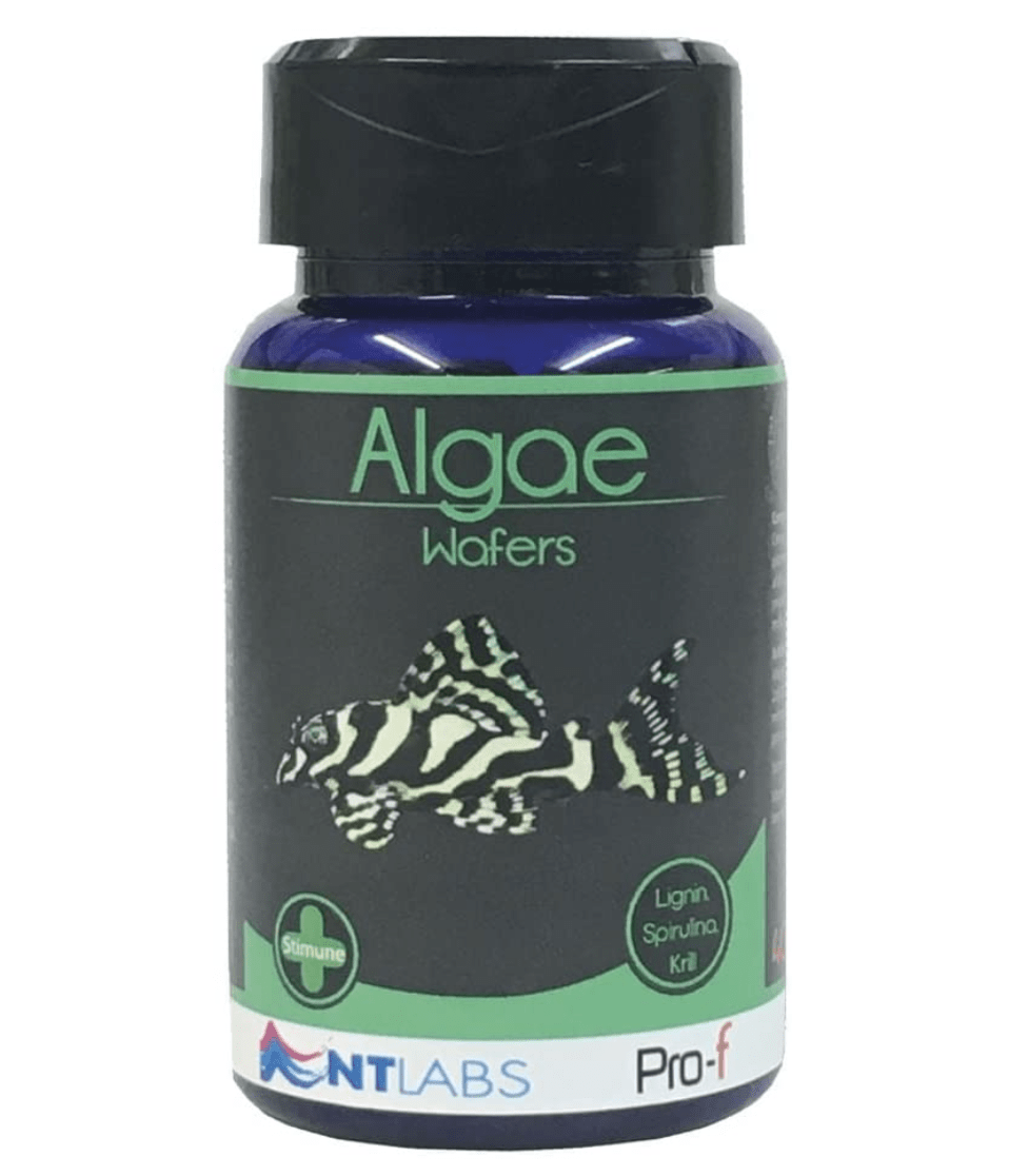 NTLABS Pro-f - Algae Wafers 40g