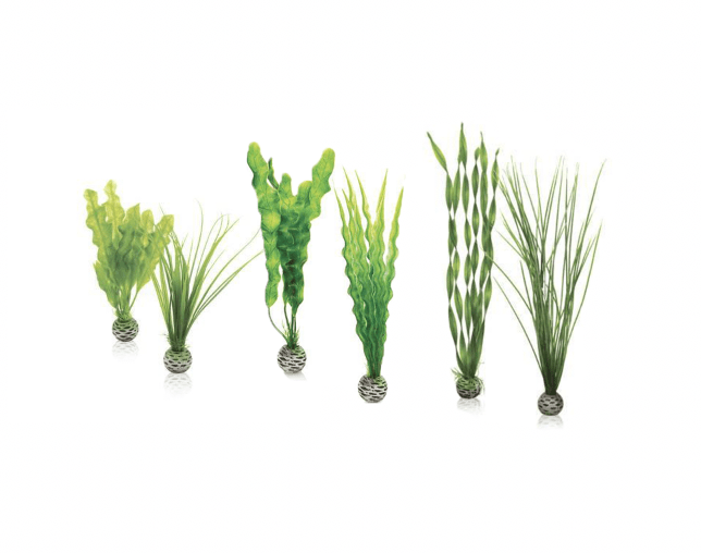 biOrb Easy Plant Set Green
