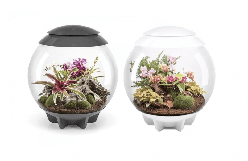 BiOrb Air 60 (Terrarium all in one with misting)