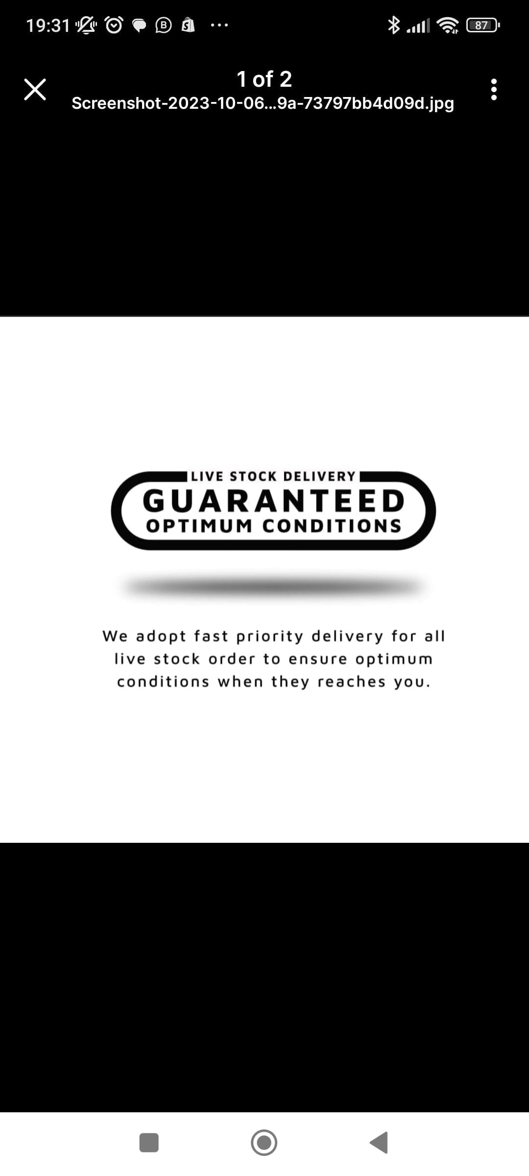 Salt And Pepper Corydoras