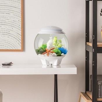 biOrb Aquatic Sea Lily