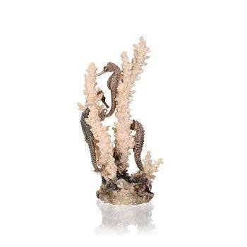 biOrb seahorses on coral