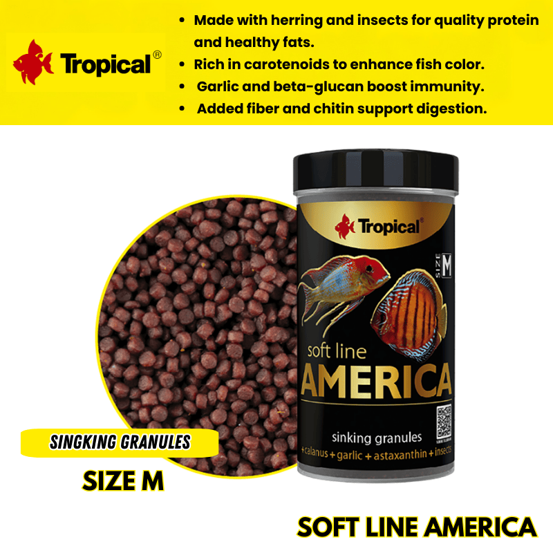 Tropical Soft Line America Size M