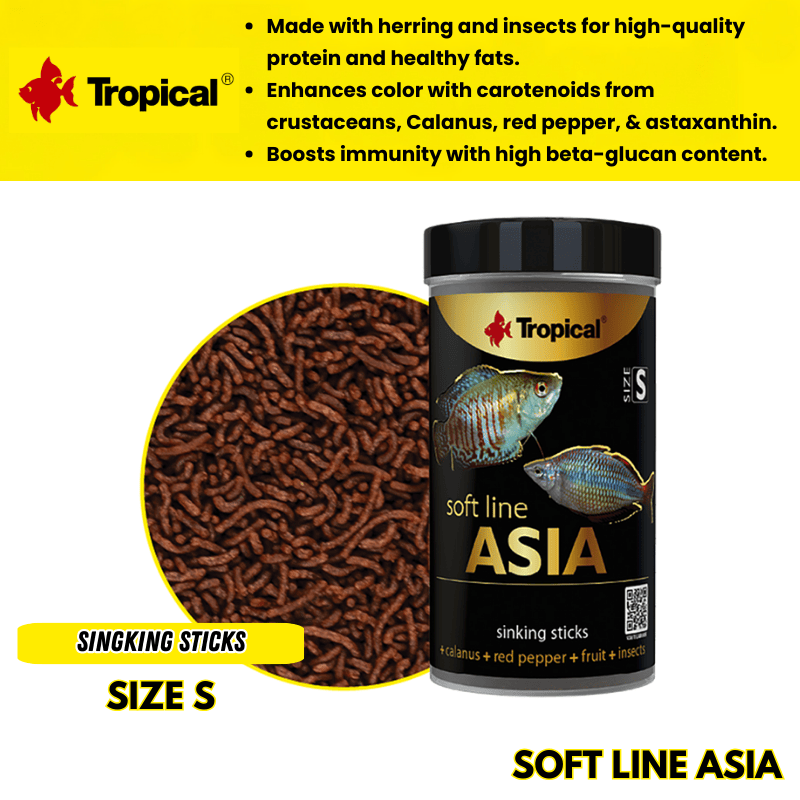 Tropical Soft Line Asia Size S