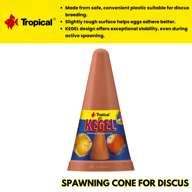 Tropical Spawning Cone For Discus (not easily broken)