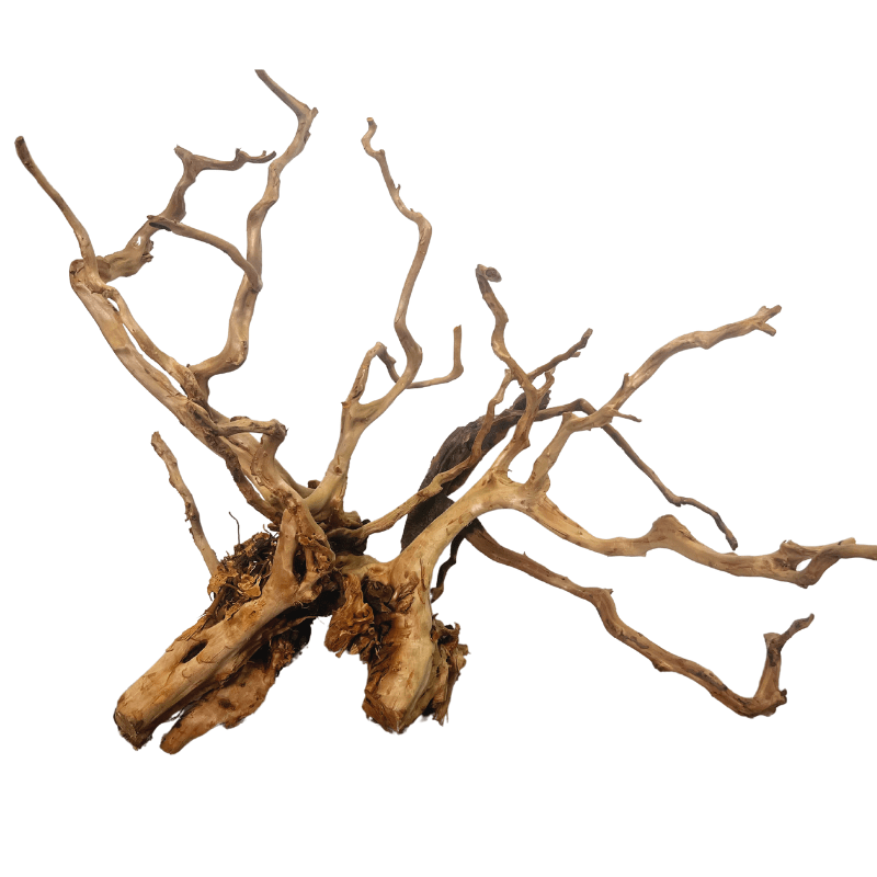 ANS Sumatra Driftwood (various size)