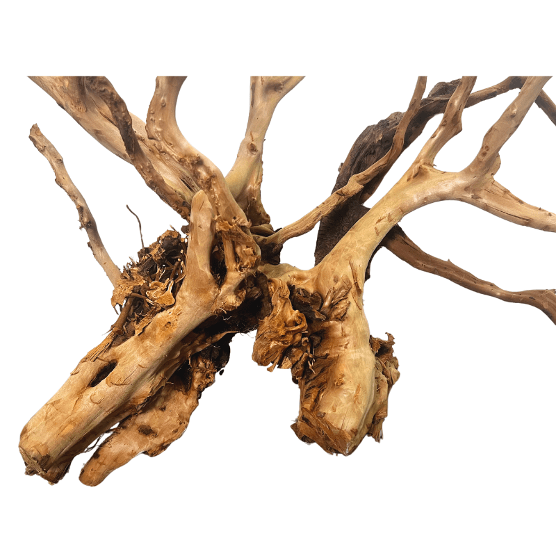 ANS Sumatra Driftwood (various size)