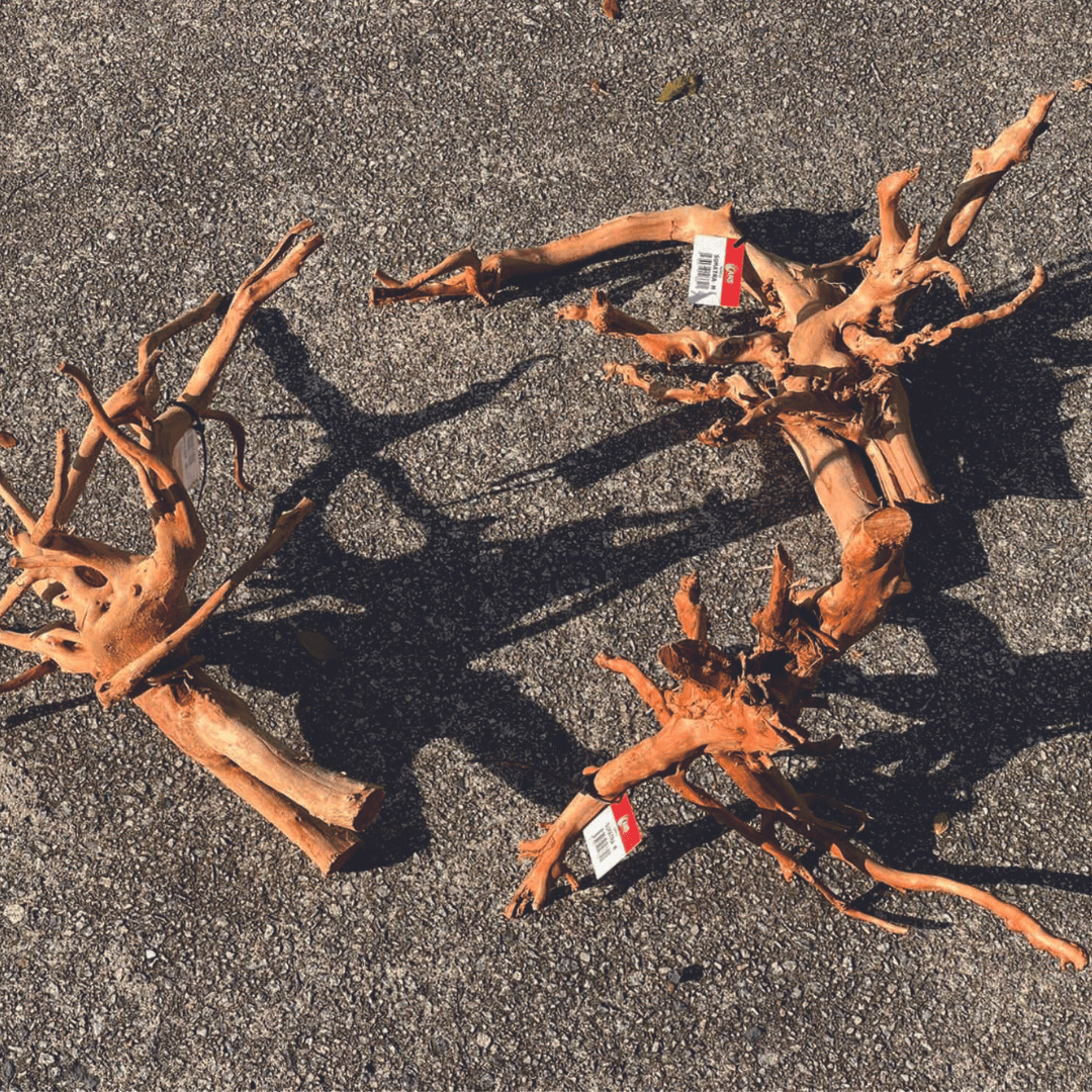 ANS Sumatra Driftwood (various size)