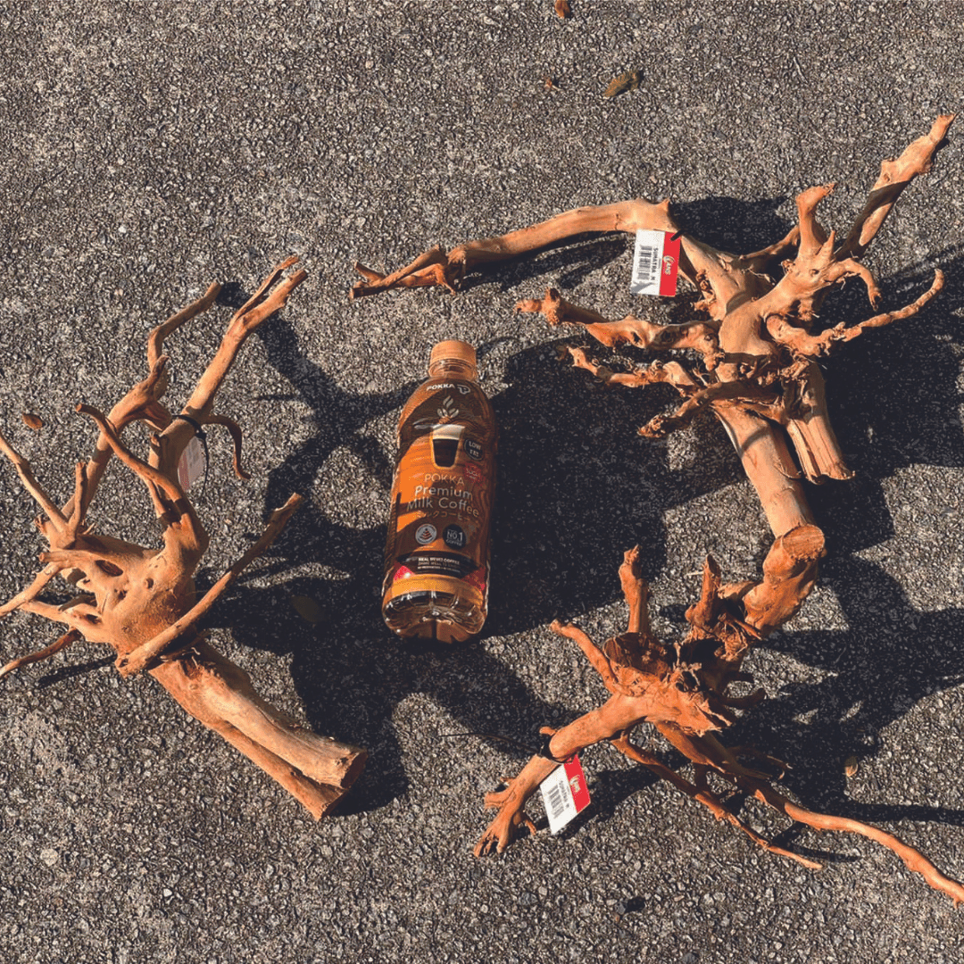 ANS Sumatra Driftwood (various size)