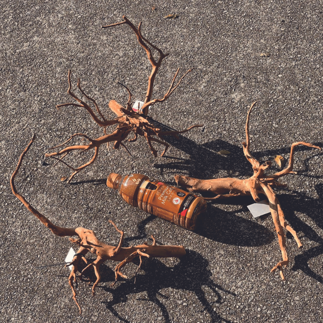 ANS Sumatra Driftwood (various size)