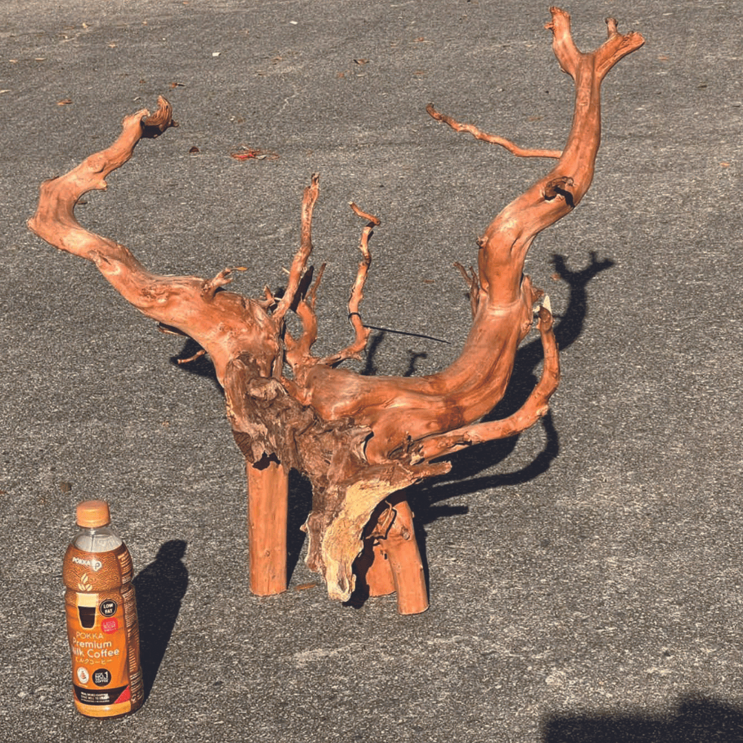 ANS Sumatra Driftwood (various size)