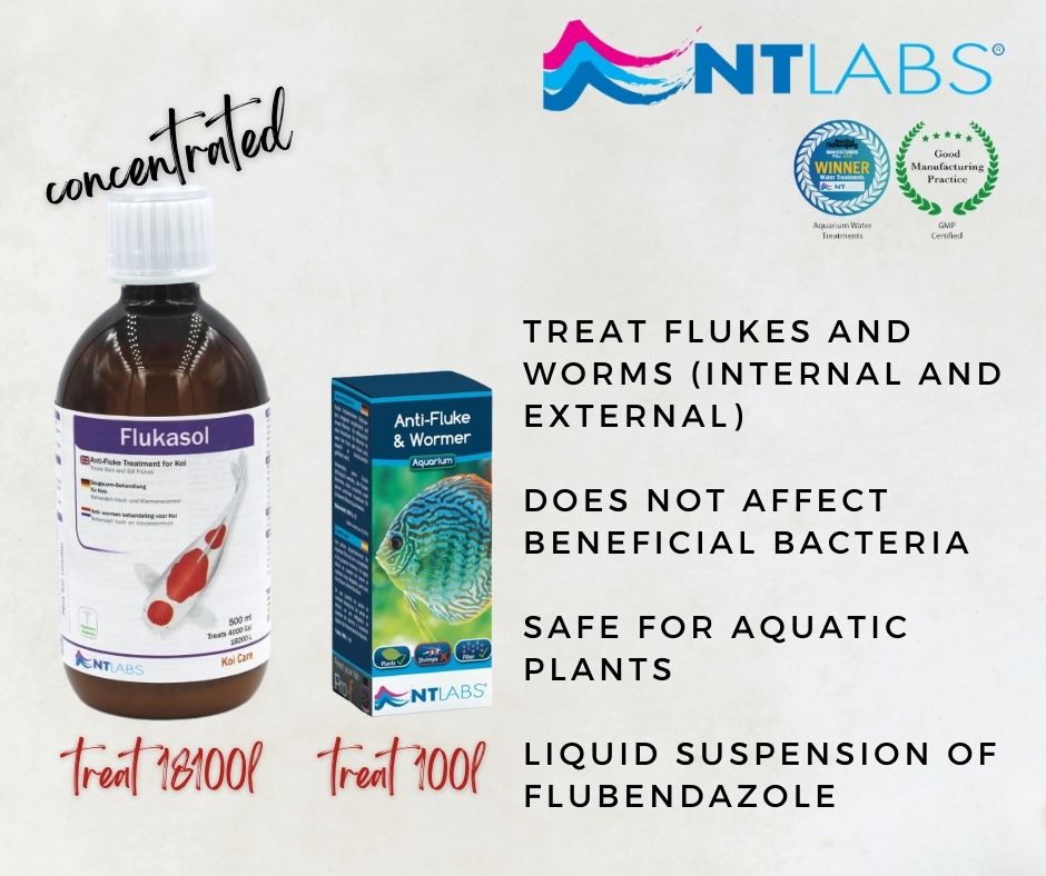 NTLABS Aquarium - Anti-Fluke & Wormer