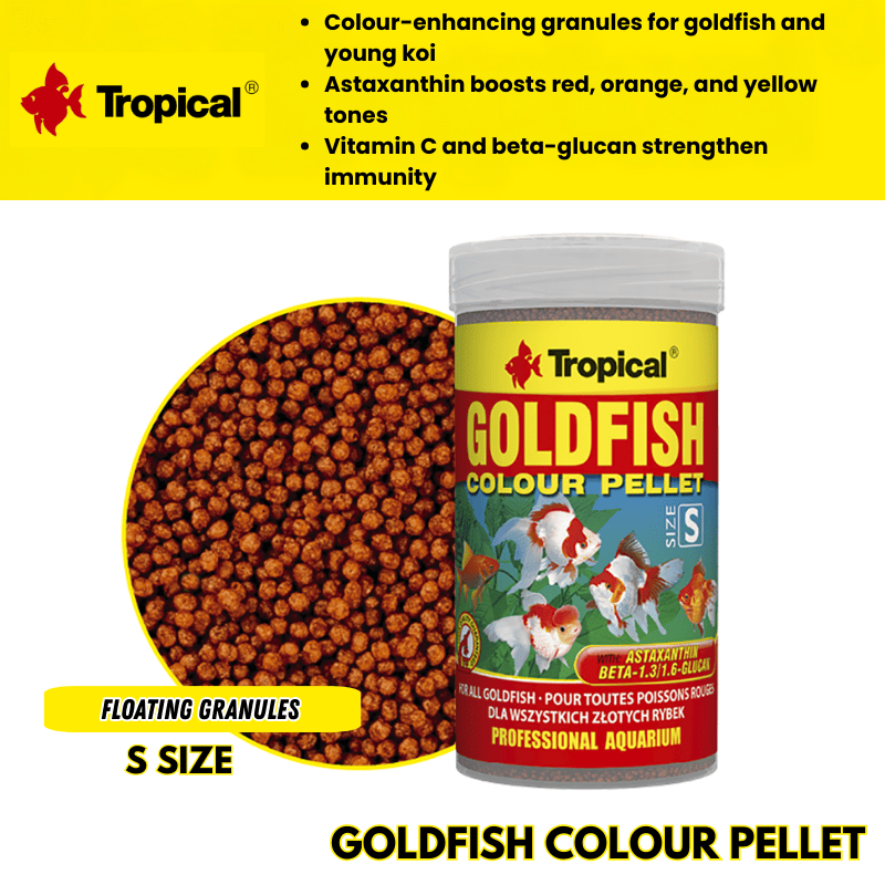 Tropical Goldfish Colour Pellet Size S (color enhancing)